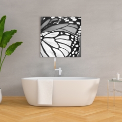 Canvas 36 x 36 - Butterfly wings closeup