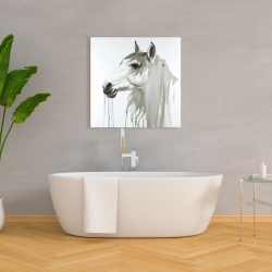 Canvas 36 x 36 - Beautiful white horse