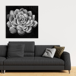 Canvas 36 x 36 - Black and white succulent