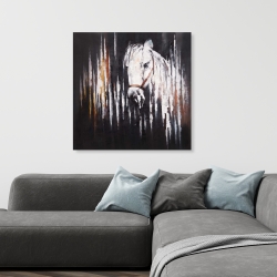 Toile 36 x 36 - Cheval blanc dans le noir