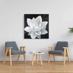 Toile 36 x 36 - Vue de haut d'une fleur de lotus