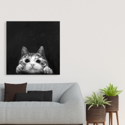 Canvas 36 x 36 - Curious cat