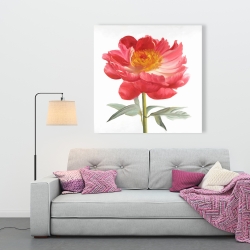 Canvas 36 x 36 - Pink peony