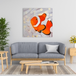 Canvas 36 x 36 - Clownfish