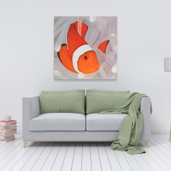 Canvas 36 x 36 - Clownfish under the sea