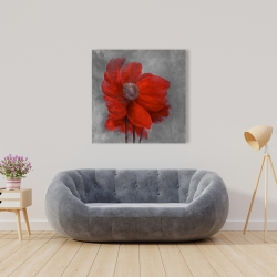 Canvas 36 x 36 - Red flower in the wind