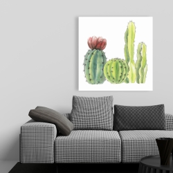 Canvas 36 x 36 - Four little cactus