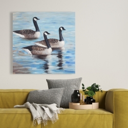 Canvas 36 x 36 - Canada geese in water