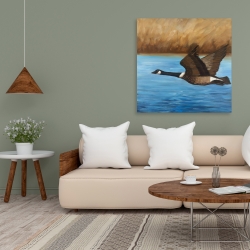 Canvas 36 x 36 - Canada goose