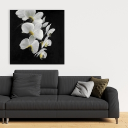 Canvas 36 x 36 - Beautiful orchids