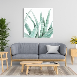 Toile 36 x 36 - Plante désertique rayée à l'aquarelle