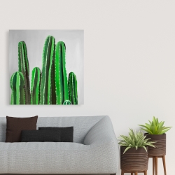 Toile 36 x 36 - Cactus cierges