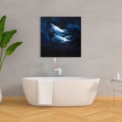 Canvas 36 x 36 - Two swimming dolphins