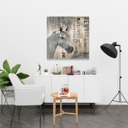 Canvas 36 x 36 - Rustic white horse