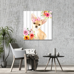 Toile 36 x 36 - Coquet chien chihuahua