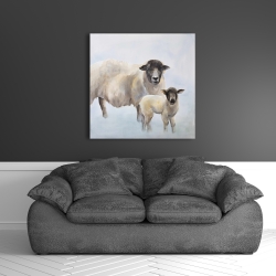 Canvas 36 x 36 - Sheep and its baby