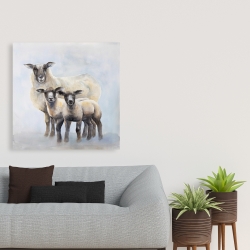 Toile 36 x 36 - Famille de moutons