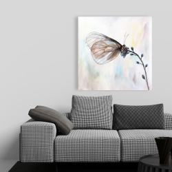 Canvas 36 x 36 - Butterfly on blue flowers