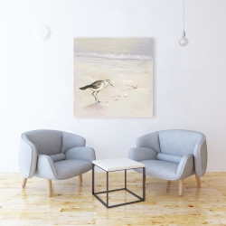 Canvas 36 x 36 - Semipalmated sandpiper on the beach