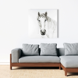 Toile 36 x 36 - Cheval blanc solitaire