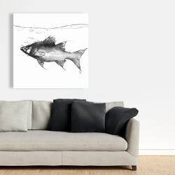 Canvas 36 x 36 - Swimming fish