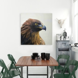 Toile 36 x 36 - Aigle à tête brune