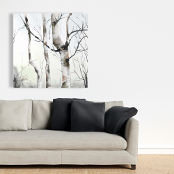 Canvas 36 x 36 - Three birches trees