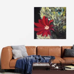 Toile 36 x 36 - Fleur rouge de cactus echinopsis