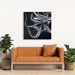 Canvas 36 x 36 - Octopus tentacle