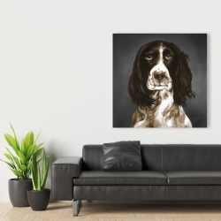 Canvas 36 x 36 - Brown english springer spaniel