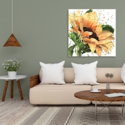 Toile 36 x 36 - Tournesol en fleuraison