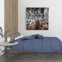 Toile 36 x 36 - Cerfs