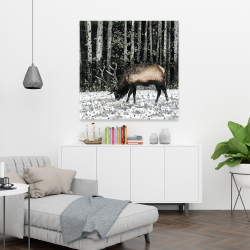 Canvas 36 x 36 - Caribou in the forest