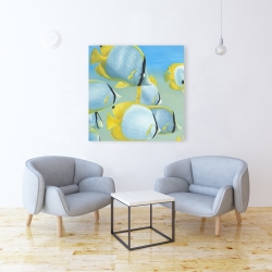 Canvas 36 x 36 - Butterfly fishes