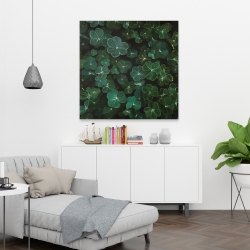 Canvas 36 x 36 - Clovers