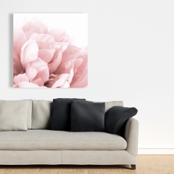 Canvas 36 x 36 - Peony flower dream