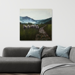 Canvas 36 x 36 - Sheep in the countryside