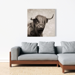 Canvas 36 x 36 - Highland cattle sepia