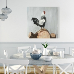 Canvas 36 x 36 - Wyandotte rooster