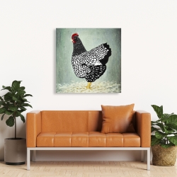 Canvas 36 x 36 - Wyandotte  hen