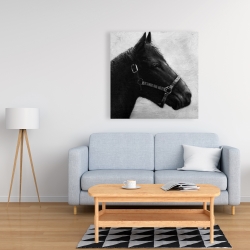 Canvas 36 x 36 - Gallopin the horse