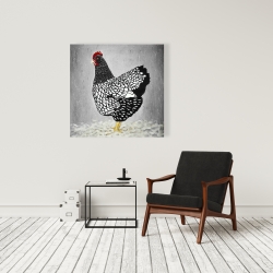 Canvas 36 x 36 - Black and white wyandotte hen