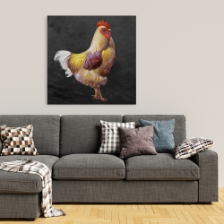 Canvas 36 x 36 - Beautiful rooster 2