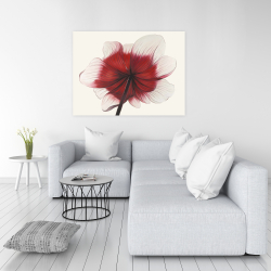 Toile 36 x 48 - Fleur anémone rouge