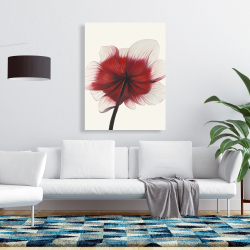 Toile 36 x 48 - Fleur anémone rouge