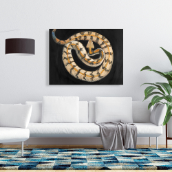 Toile 36 x 48 - Serpent crotale des bois du sud