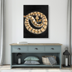 Toile 36 x 48 - Serpent crotale des bois du sud