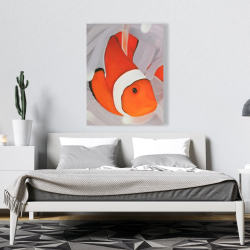 Canvas 36 x 48 - Clownfish under the sea