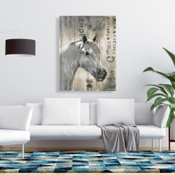 Canvas 36 x 48 - Rustic white horse