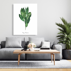 Canvas 36 x 48 - Bay leaves bundle -en